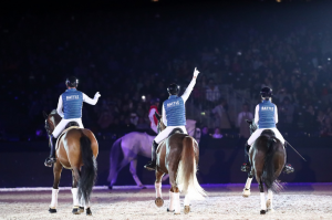 battle dressage jumping bordeaux